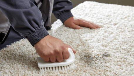 Professional Rug Cleaning Viewbank